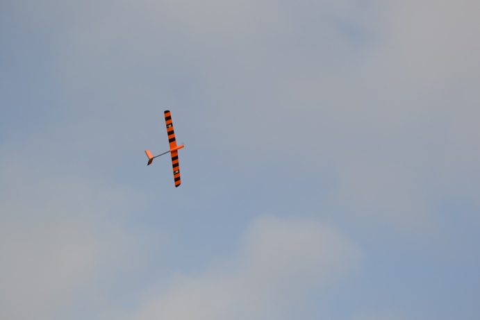 DSC_00371.jpg
