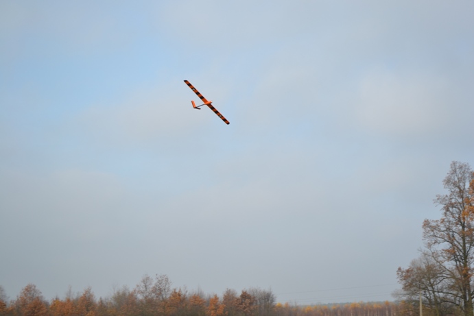 DSC_00481.jpg