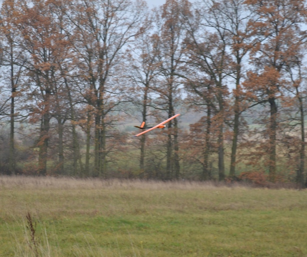 DSC_10181.jpg