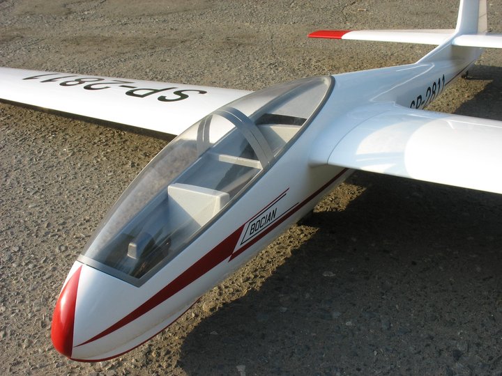 bocian_171.JPG