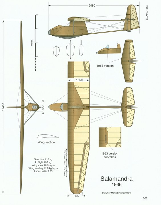 Salamandra.jpg