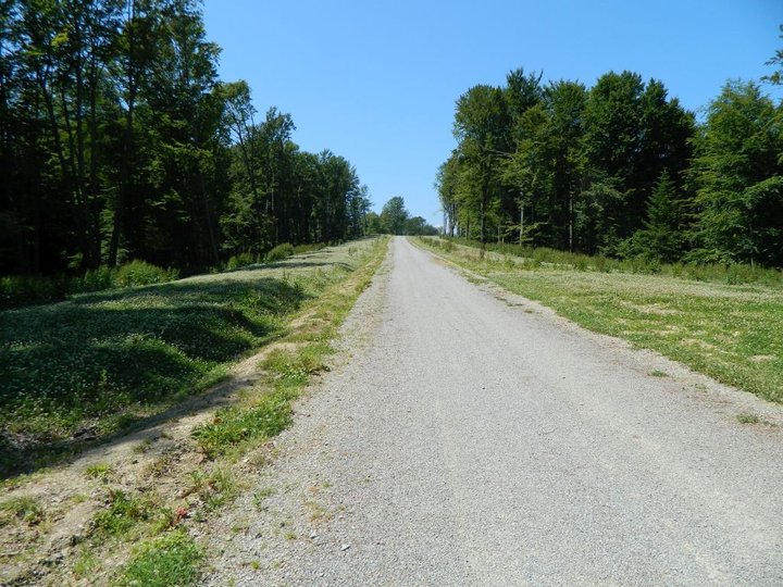 DSCN2495.jpg