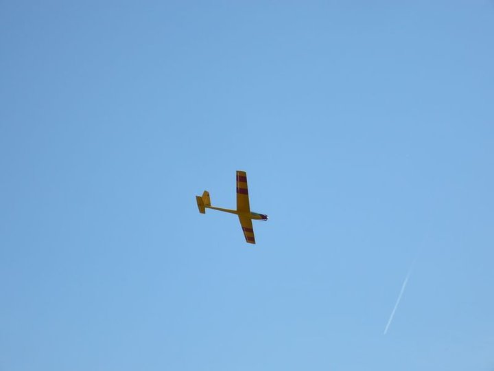 P1070448.JPG