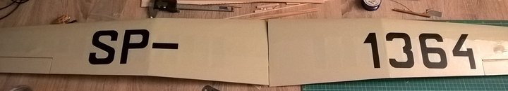 WP_20160314_22_07_12_Pro_40.jpg