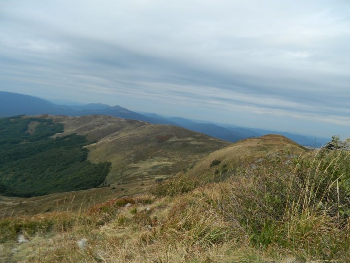 DSCN4206.jpg