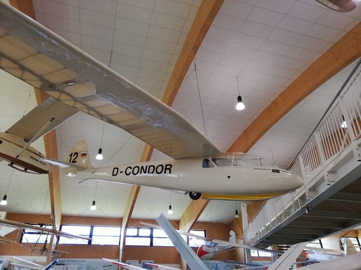 condor IV.jpg