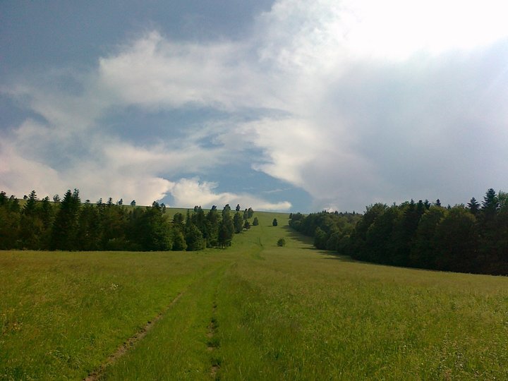 Górka 1.jpg