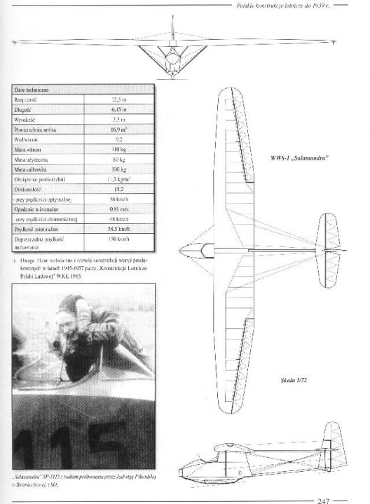 salamandra4adw.jpg