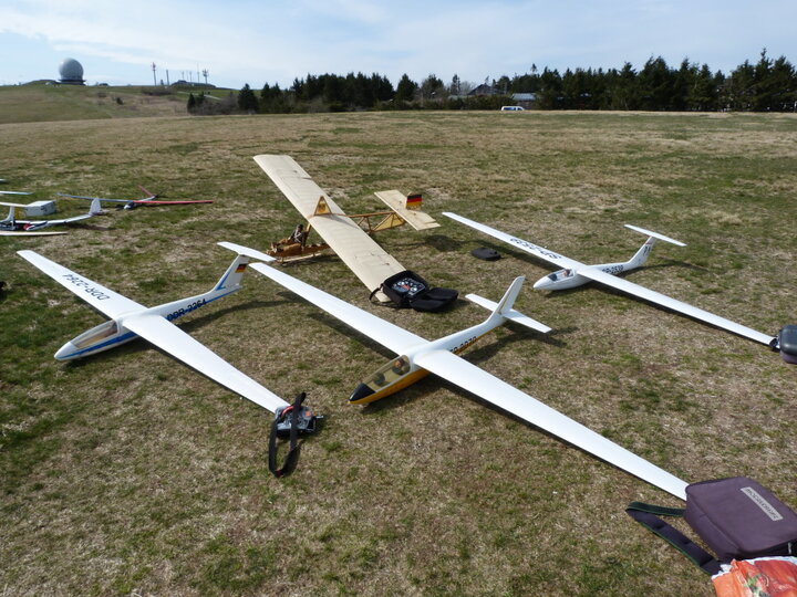 Co-1.JPG