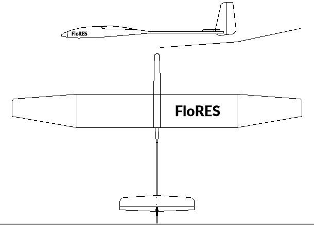 Flores1.jpg