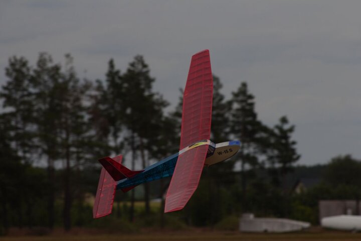 IMG_2442.jpg