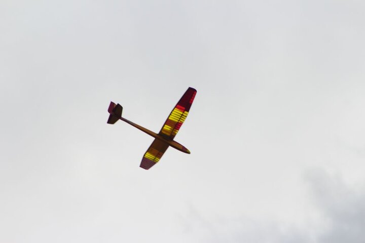 IMG_2499.jpg