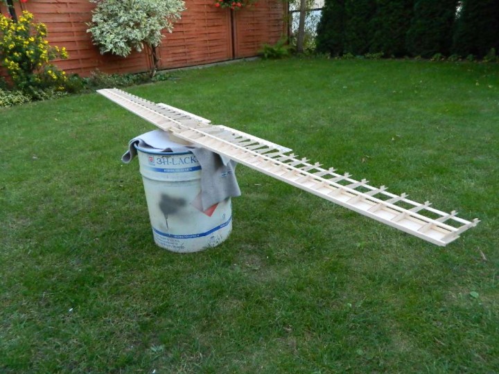 DSCN1709.jpg