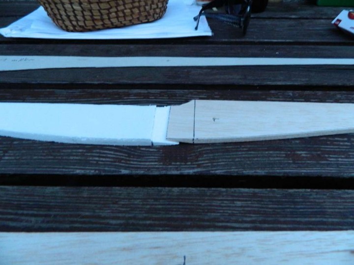 DSCN1728.jpg