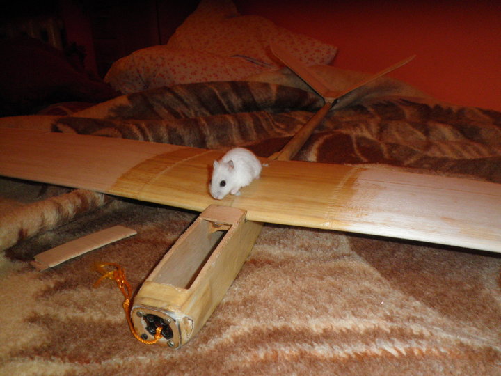 PA210448.JPG