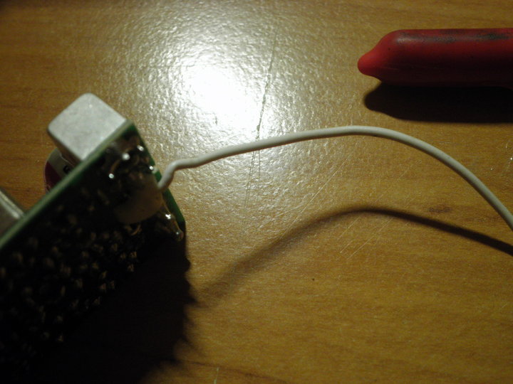PB050529.JPG